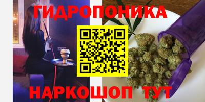 молекула духа Краснознаменск