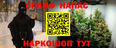 молекула духа Краснознаменск