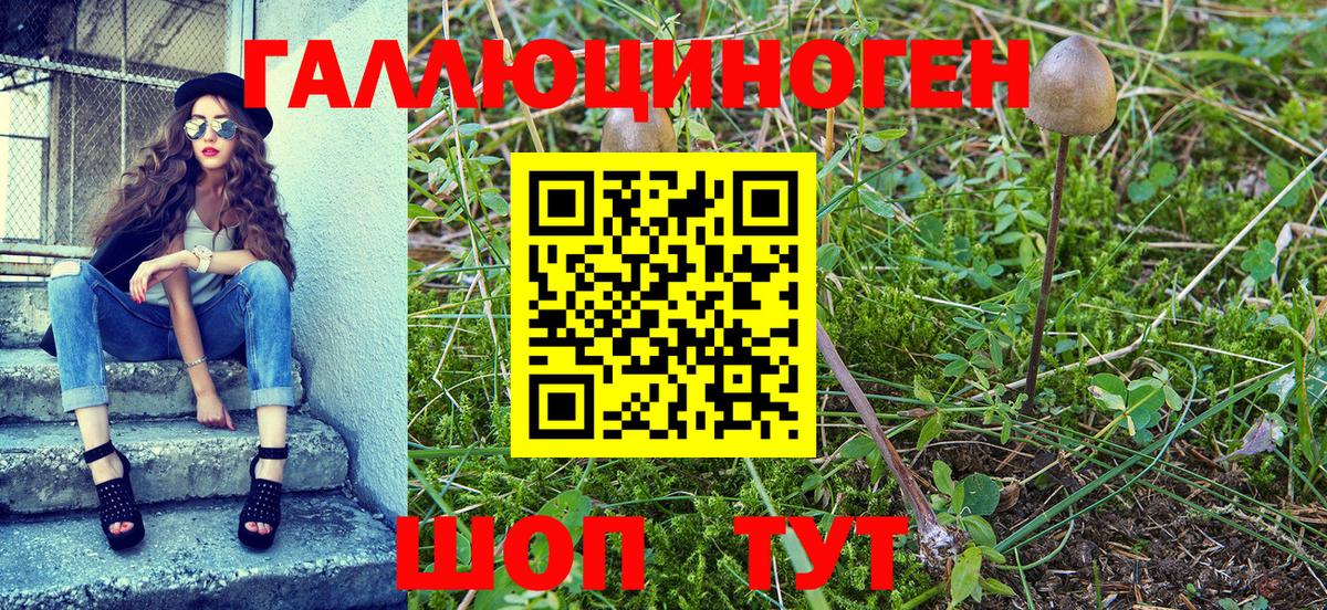 Южноуральск  даркнет сайт  Вход с VPN  Псилоцибиновые грибы Psilocybe 